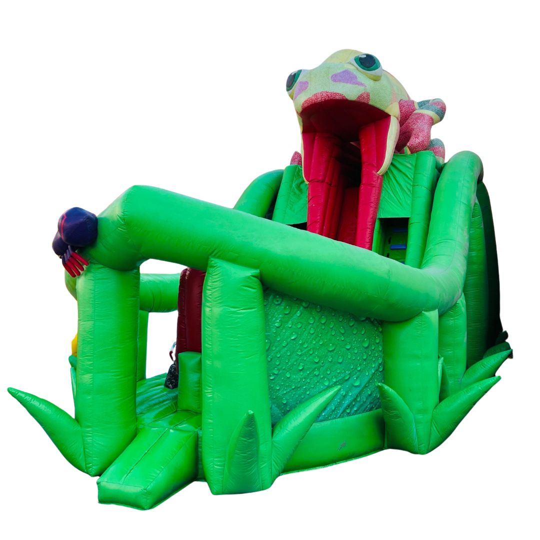 Frog Inflatable